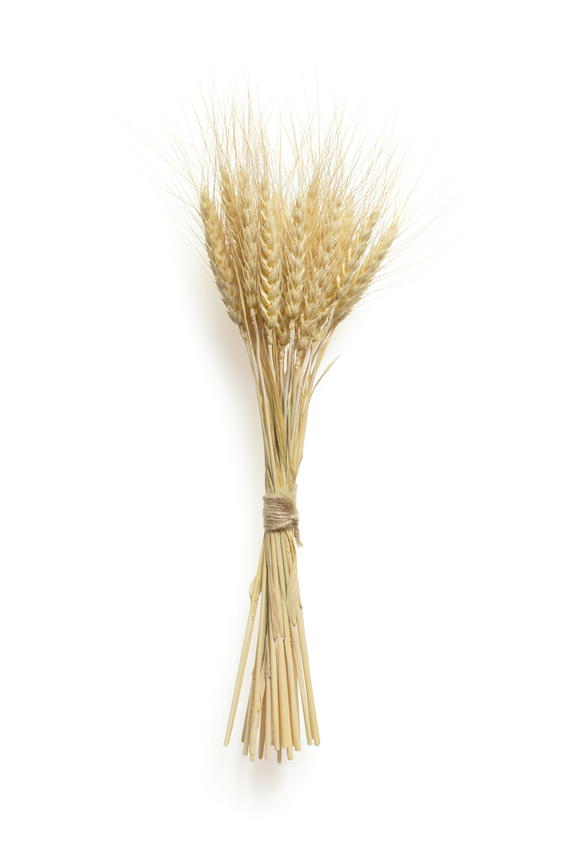 Grains and food supply commodities